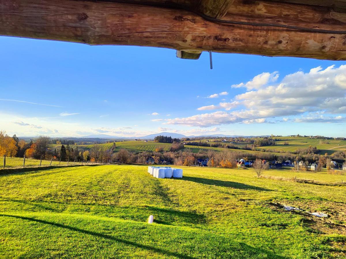 Willa Adamowka Zakopane Buitenkant foto